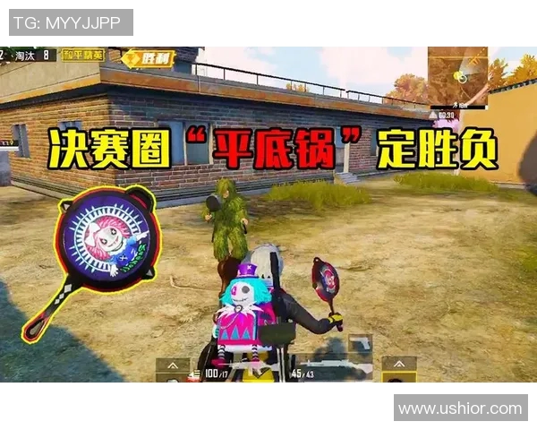 和平精英巨献：深入探讨LNG的意识与未来发展趋势