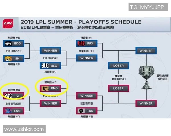 赛后复盘分析EDG与RNG比赛中的战术意识与团队配合