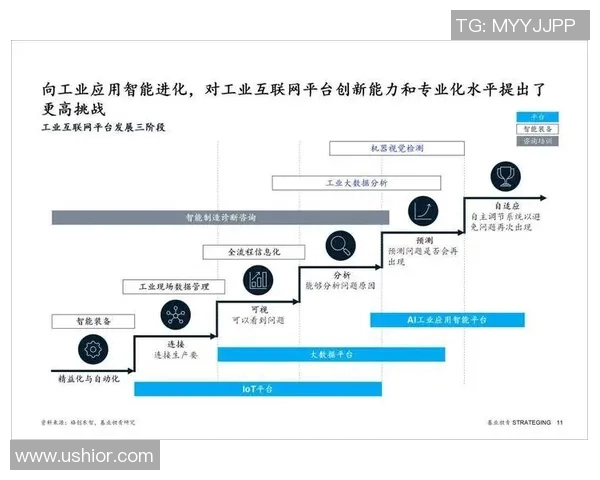 以互联网信息为核心驱动力探讨数字时代创新与发展趋势