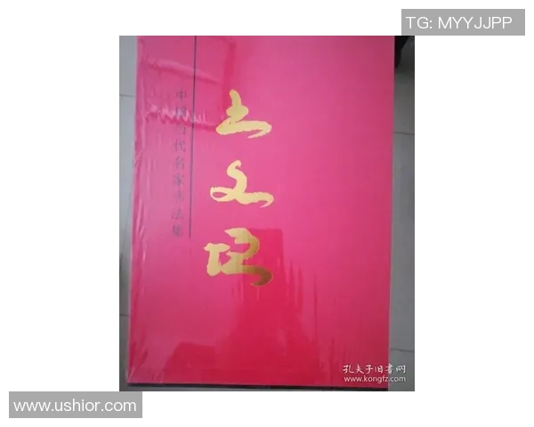 成都网球队的蜕变与成长：一段网球精神与团队奋斗的真实记录