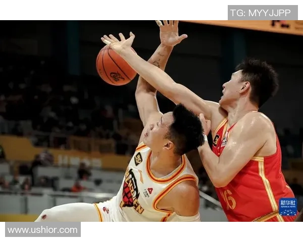 浙江深圳CBA球队 比较浙江与深圳两支球队