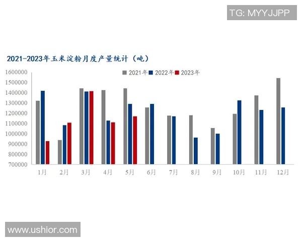深入探讨WE耐力表现的数据分析与趋势解读