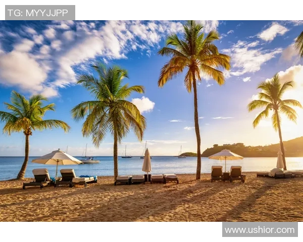 畅游夏日海滨尽享泳装购物乐趣挑选最适合你的完美泳衣