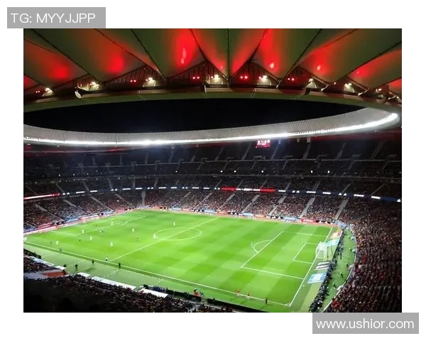 美洲杯历史回顾与未来展望：足球激情与文化碰撞的传奇之旅