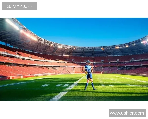 足球偶像传奇：从绿茵场到球迷心中永恒的英雄之路