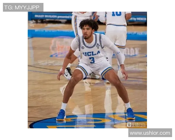 森林狼队重振雄风目标明确，年轻球员崛起引领未来篮球新篇章