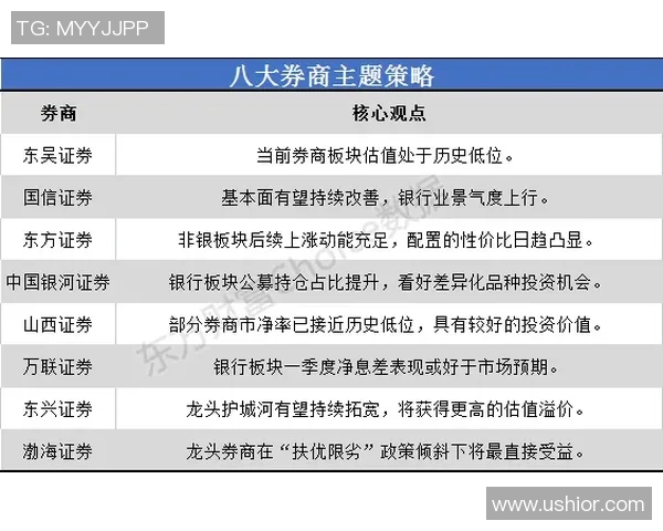 上海极限运动队的区域防守策略与热点分析探讨