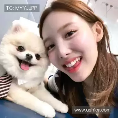 孟北