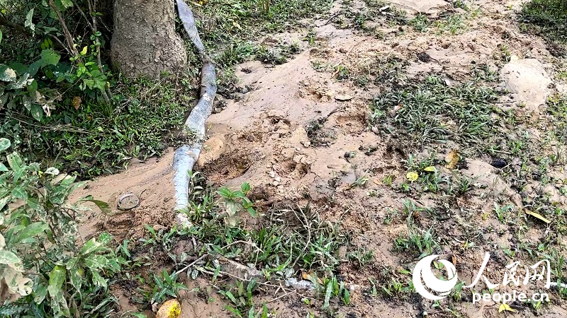 新利体育·luck18群众直击｜海南昌头水：蚂蚁搬场式盗砂管理之困(图2)